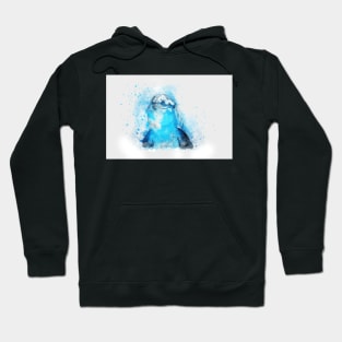 dolphin Hoodie